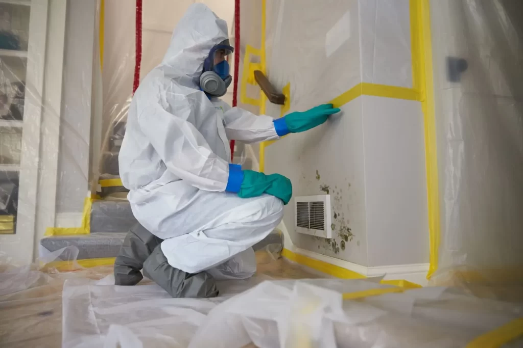 Professional Biohazard Cleanup Services