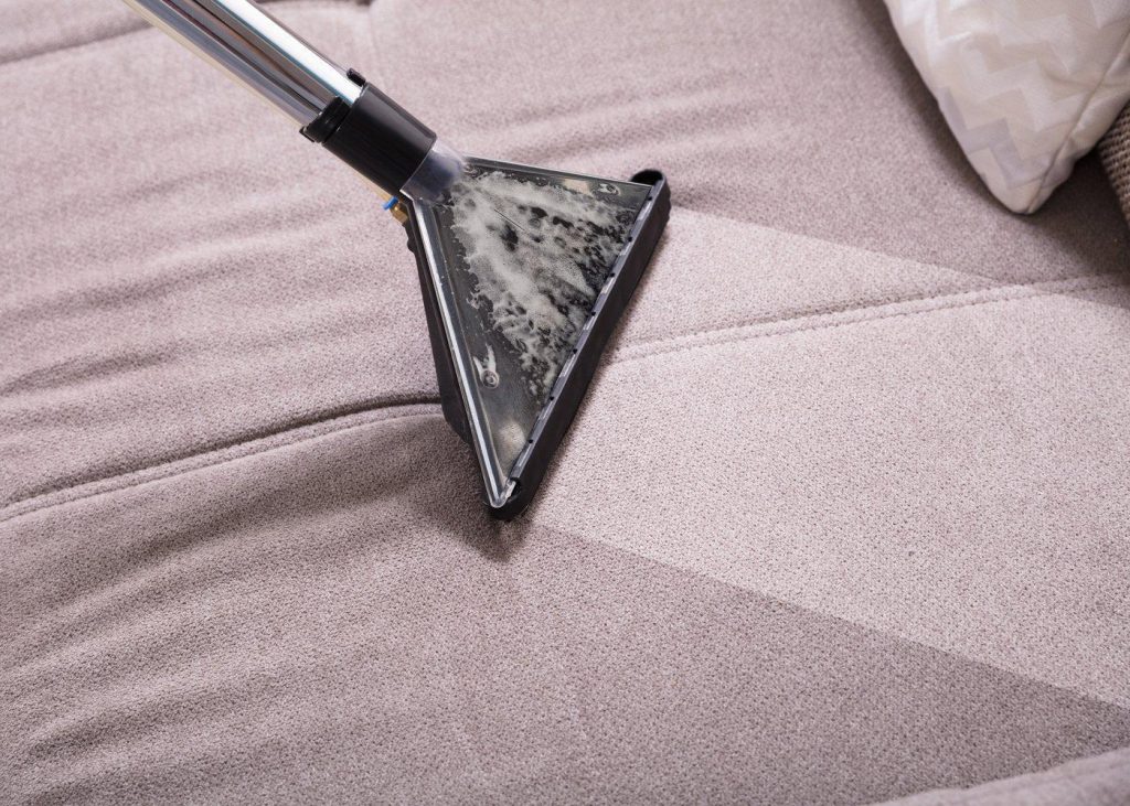 Professional Upholstery Cleaning services